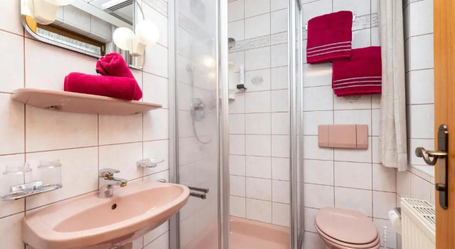 Номер Standard Appartement Bergpanorama