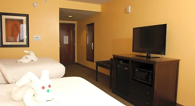 Run of House Pier House 60 Clearwater Beach Marina Hotel