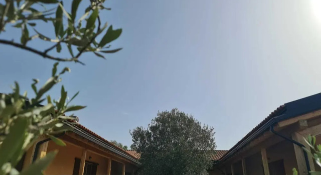 Agriturismo Corte Degli Ulivi