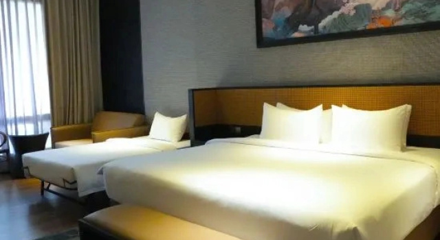 Двухместный люкс Executive Monkeys Canopy Resort