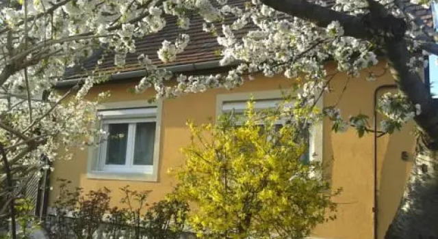 Havas Apartman