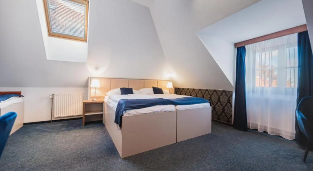 Трёхместный номер Standard Hotel U Královny Elišky