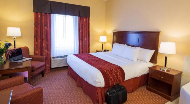 Двухместный номер Standard Comfort Hotel Airport