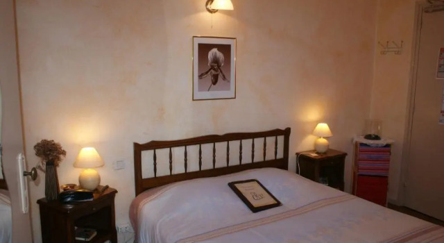 Двухместный номер Standard Hôtel le Dauphin