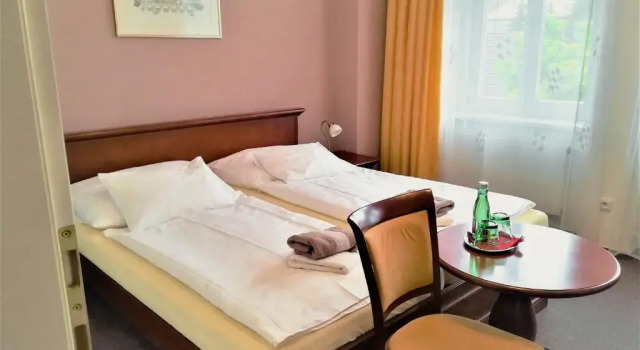 Двухместный номер Comfort Hotel U Kaplicky