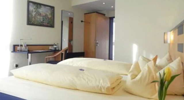 Двухместный номер Standard Hotel Alber