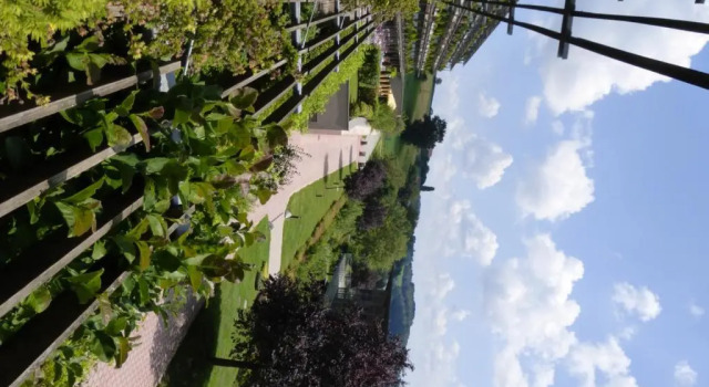 Номер Superior Das Sonnreich - Thermenhotel Loipersdorf