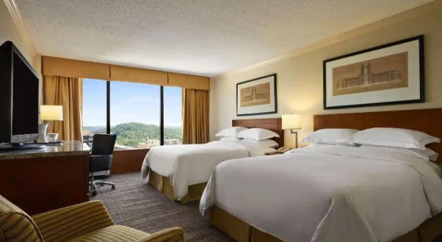 Двухместный номер Superior с видом на город Hilton Knoxville