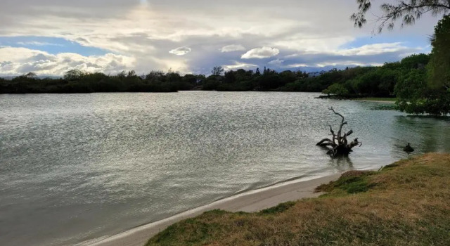 Eastern Blue - Sea View Luxury Apartment, Prenota Appartamento Appartamenti a Mauritius Costa Est, Appartamento