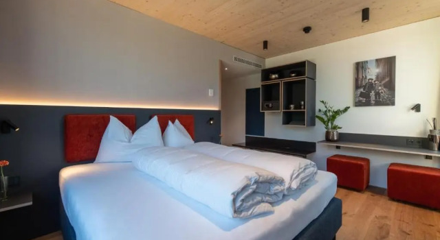 Двухместный номер Standard с видом на горы ALPSTADT LIFESTYLE Hotel