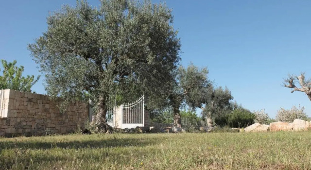 B&B Quattrolinari, Book Hotel Hotels in Conversano with Parking, Parking