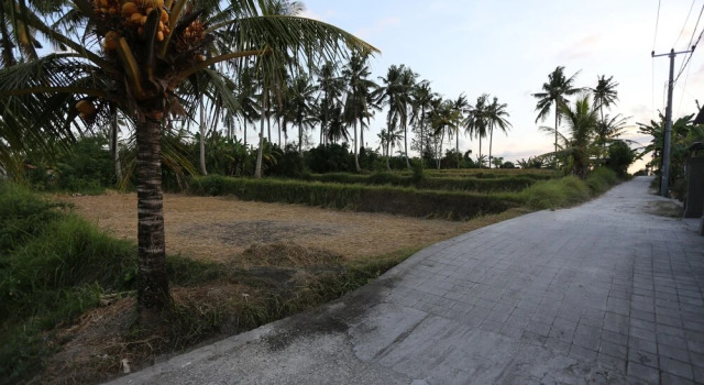 Wiki Bali, Забронировать Отель Отели провинции Бали с завтраком, Завтраки