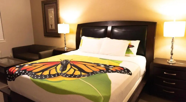 Номер Deluxe Premium Inn and Suites
