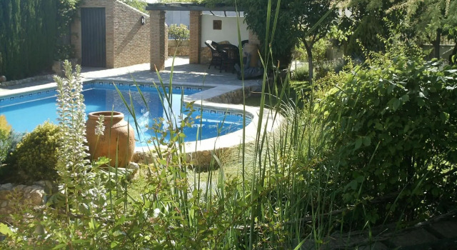 El Rincon de Pepa
