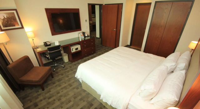 Двухместный номер Standard Holiday Inn Leon by IHG