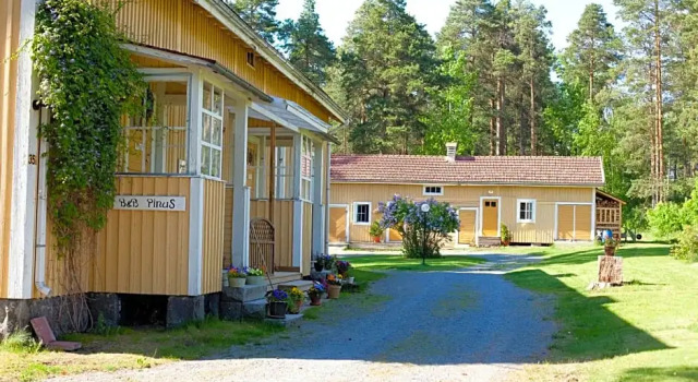 B&B Pinus, Забронировать Отель «постель и завтрак» Отели в центре Мянтюхарью, в центре