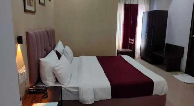 Номер Deluxe Hotel Sagar International