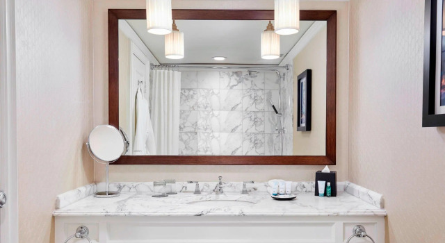 Двухместный номер Deluxe с видом на город The Westin Philadelphia