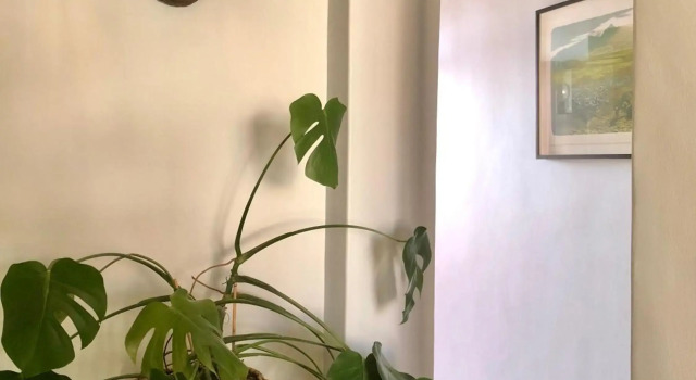 The Pink House boho apartment, Забронировать Апартаменты/квартира Апартаменты Cape Peninsula, Апартаменты/квартира