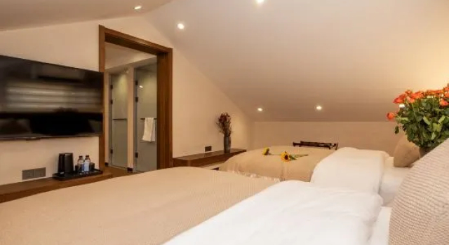 Люкс Jiuhuashan Taoyuan Huayin Homestay (On the Jiuhua Mountain)