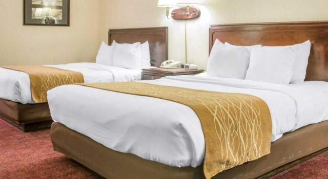 Двухместный номер Standard Comfort Inn Lakeside