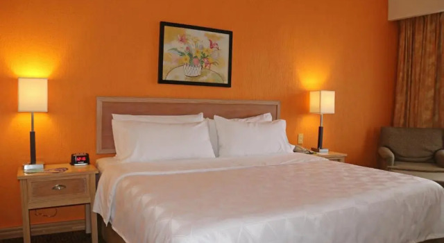Номер Standard Holiday Inn La Piedad by IHG