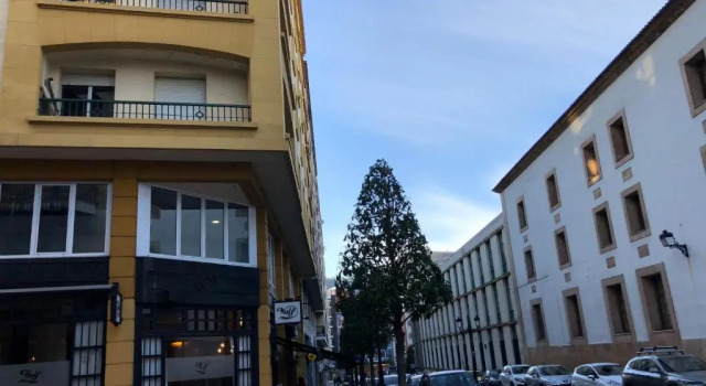 Апартаменты Magnifico piso centro de Oviedo. VUT-923-AS