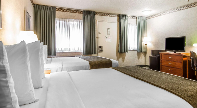 Четырёхместный номер Standard Quality Inn & Suites Silicon Valley