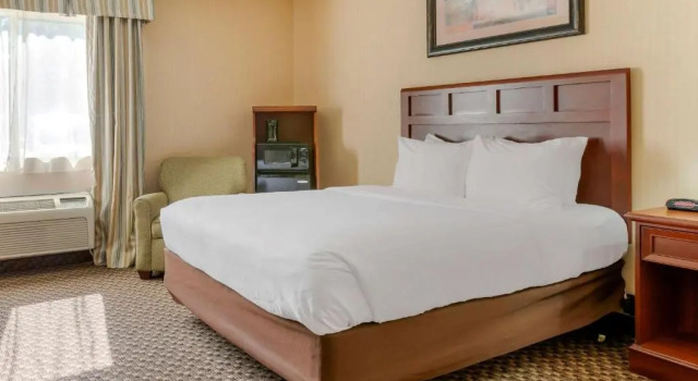 Номер Standard Comfort Inn Traverse City