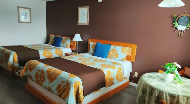 Номер Grand Motel Le Radisson de Val-David