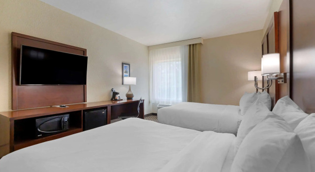 Четырёхместный номер Standard Comfort Inn & Suites Near Six Flags & Medical Center