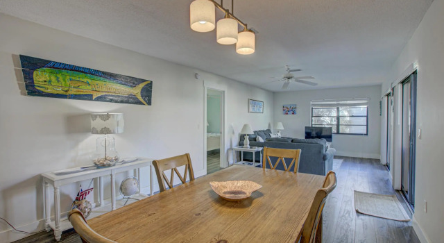 Anna Maria Island Beach Palms 7A