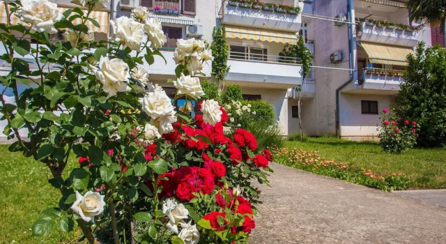 Beautiful Apartment in Prime Location, Забронировать Апартаменты/квартира Пореч Poreč Riviera, рядом с Старый город Пореча