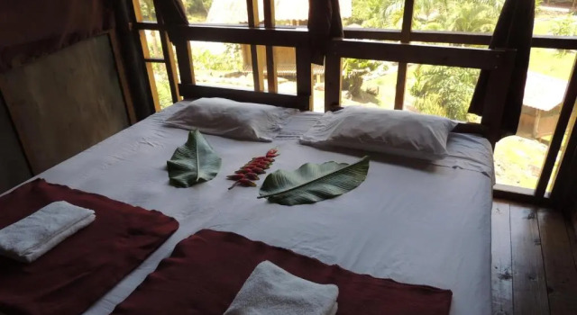 Бунгало Standard Pacuare River Lodge