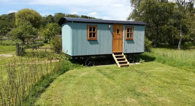 Номер Standard Gaggle Of Geese Pub & Shepherd Huts