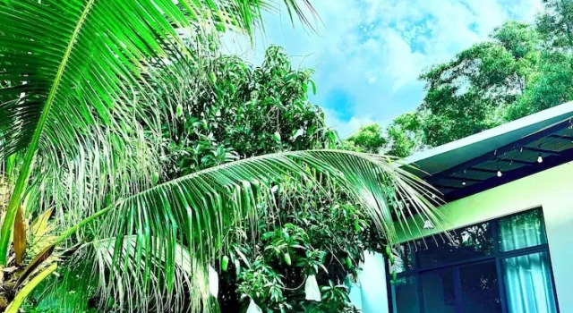 Номер Standard homestay halona