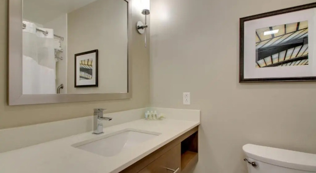Двухместный люкс Holiday Inn & Suites Peoria At Grand Prairie by IHG