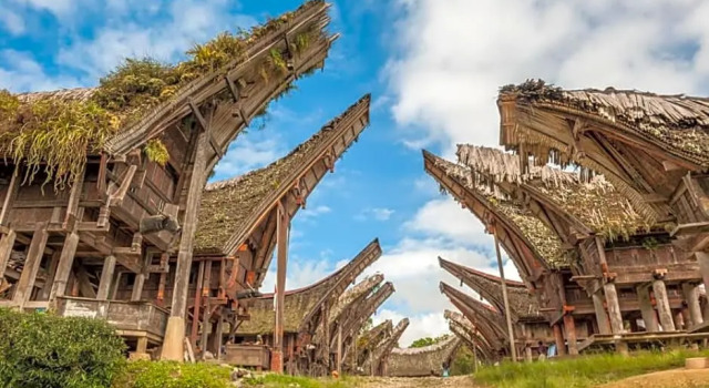 Sugi House Toraja - Villa Penginapan Sewa Harian