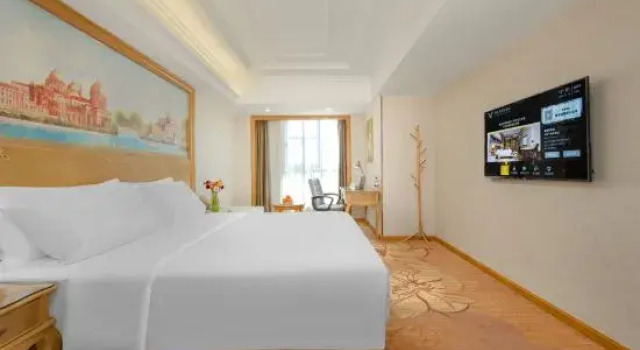 Люкс Deluxe Vienna International Hotel (Zhengzhou FU Tower Metro Station)