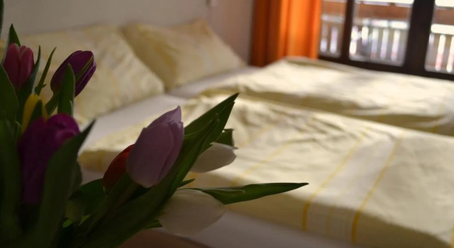 Hotel Jungfrau, Prenota Hotel Fiesch Goms