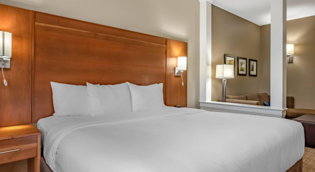 Двухместный люкс Comfort Suites Hotel and Conference Center