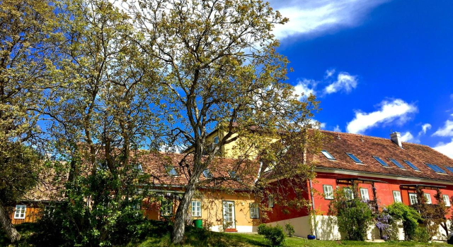 Apfelwirt, Reserva ahora Hotel Stubenberg ApfelLand Stubenbergsee