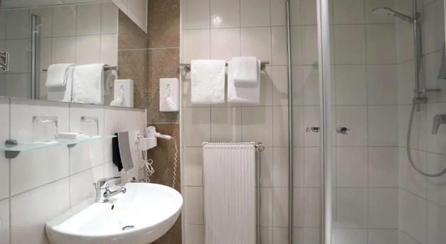 Одноместный номер Standard Best Western Hotel Rosenau