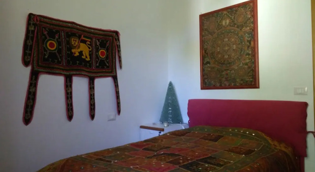 Одноместный номер Standard Butterfly B&B