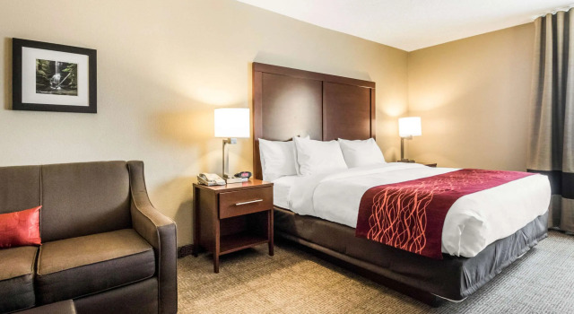 Двухместный номер Standard Comfort Inn Ottawa Starved Rock Area