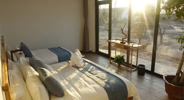 Confort familie suite 2 camere cu vedere la grădină A Tree Hostel