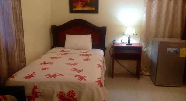 Номер Standard Hotel MundialCity