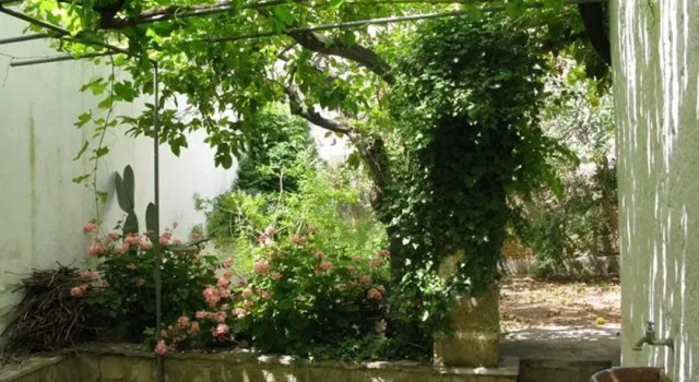 Vico Gagliani