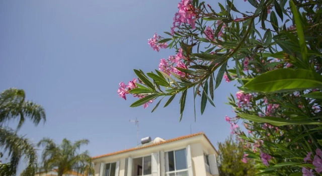 Protaras Villa Asteria By The Sea, Забронировать Вилла Отели Паралимни 4 звезды, 4*