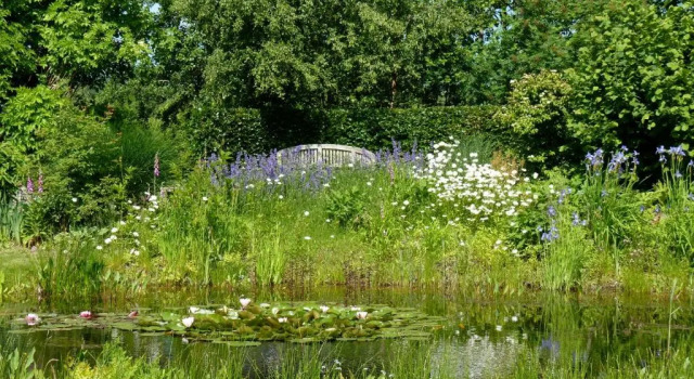 Коттедж Gastenverblijf Klein Eden